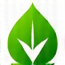 Vibrant green leaf icon symbolizing eco-friendly and expert local care